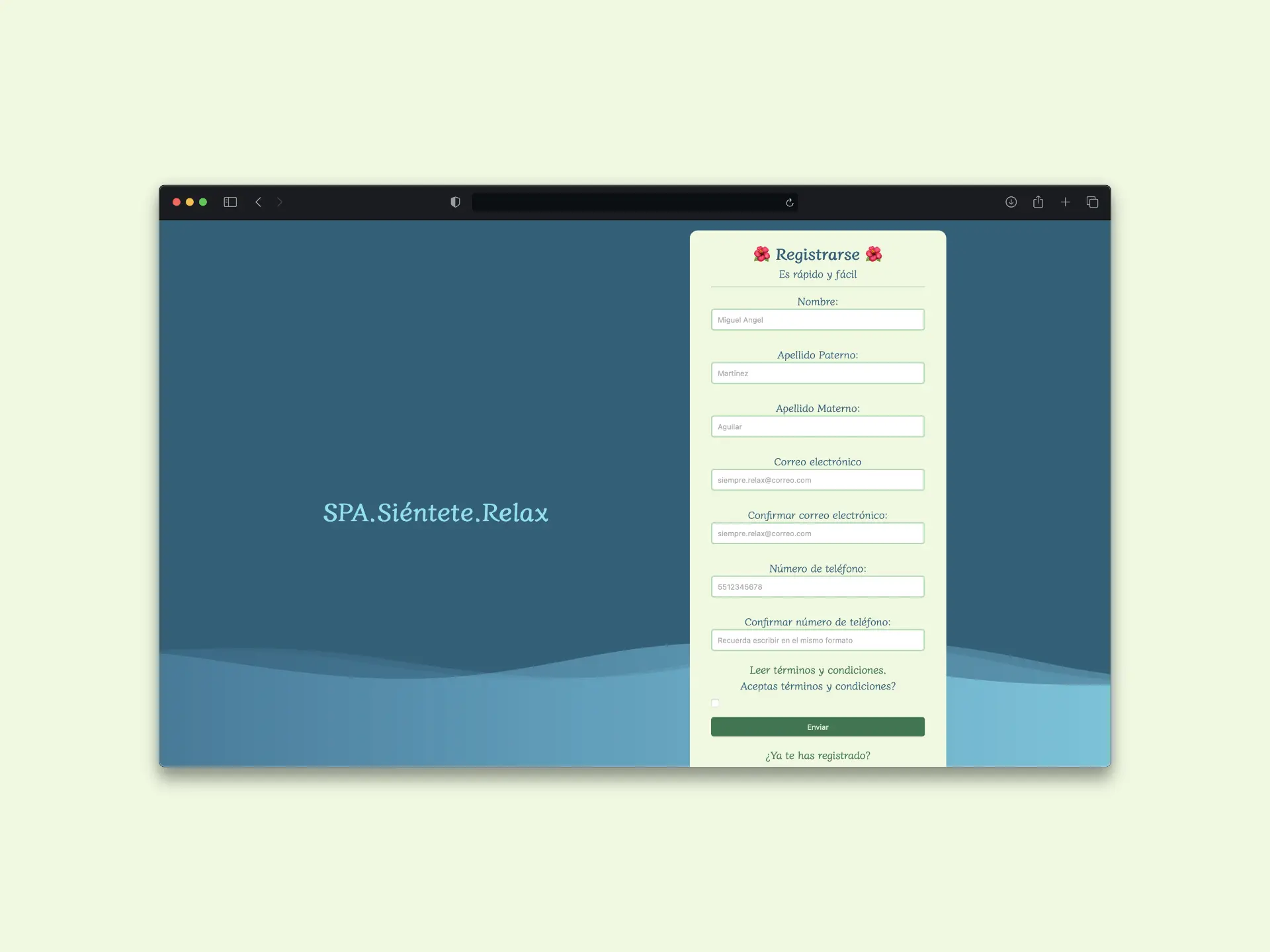 Captura de pantalla del proyecto Login Básico